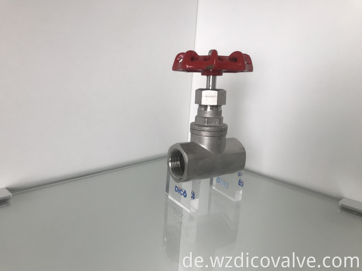 globe valve